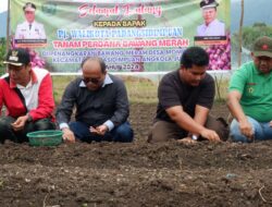 Kendalikan Inflasi, Pj Wali Kota Padangsidimpuan Dorong Penanaman Bawang Merah