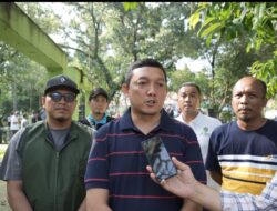 Hiburan Malam di Medan Wajib Tutup Selama Ramadhan dan Idulfitri 1445 H