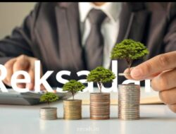 Mau Jadi Investor Saham, Belajar Dulu Lewat Reksa Dana