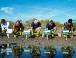 Indosat Optimalkan Teknologi Untuk Konservasi Mangrove di Aceh