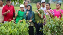 Wali Kota P.Siantar, USAID Dan IUWASH Tanam Pohon Di Waduk Perumda Tirta Uli