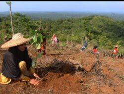 Telkom Reboisasi 82,1 Hektar Lahan Kritis di Empat Provinsi