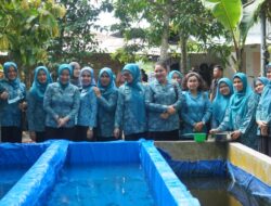 Ketua Pj.TP.PKK  Langkat Berikan Pembinaan  Kegiatan UP2K PKK