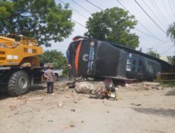 Bus Cahaya Kembar Jaya Terjungkal, Delapan Penumpang Luka Luka