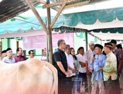 Sambut Hari Raya Idul Adha, Bupati Nias Serahkan Hewan Qurban