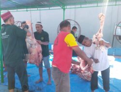 Lapas Narkotika Kelas IIA Siantar  Sembelih 8 Hewan Qurban