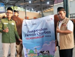 Iduladha 1445 H, Telkom Distribusikan 544 Hewan Kurban