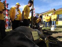 Ijeck Ucapkan Terimkasih Kepada Jokowi, Prabowo dan Bobby Ikut Kurban Bersama Golkar Sumut