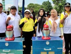 Ikuti Giat Haroan Bolon, Ketua TP PKK Ajak Masyarakat Membangun Simalungun