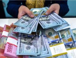 Cadangan Devisa Mei 2024 Naik US$2,8 miliar