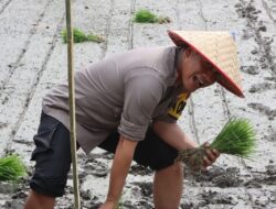 Kapolres Siantar Tanam Padi Perdana