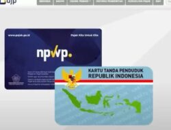 Mulai 1 Juli 2024, Tujuh Layanan Dapat Diakses Melalui NIK, NPWP 16 Digit Dan NITKU