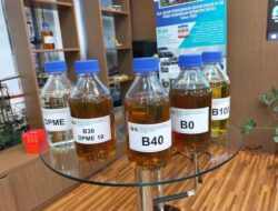 B35 Dan B40 Dorong Kredit Produktif Rp186,06 Triliun