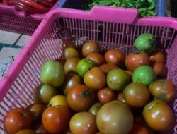 26 Provinsi Deflasi Dan 12 Provinsi Inflasi, Terjadi Deflasi Nasional 0,08%