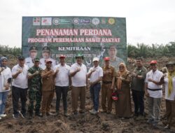 Wakil Bupati Asahan Ikuti Penanaman Perdana Program PSR