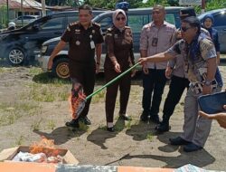 KPU Paluta Musnahkan Surat Suara Rusak