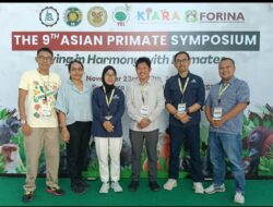 Agincourt Resources Tunjukkan Inovasi Jembatan Arboreal Untuk Primata Batang  Toru Di Asian Primate Symposium