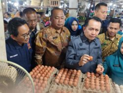 Sidak Pasar Petisah Medan, KPPU Sinyalir Harga Migor Masih Tinggi