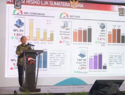 Dorong Inovasi Dan Pertumbuhan Ekonomi Sumut, OJK Gelar SEFI 2024