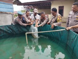 Dukung Ketahanan Pangan, Kapolsek Hinai Tabur 1.500 Ikan Lele