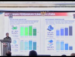 Likuiditas Perbankan Sumut Terjaga,  DPK Tumbuh 5,38 Persen