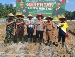 Polres Aceh Tamiang Manfaatkan 2 Hektar Lahan Tidur Tanam Jagung