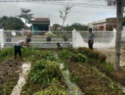 Manfaatkan Pekarangan, Lapas Labuhan Ruku Panen 180 Kg Kangkung
