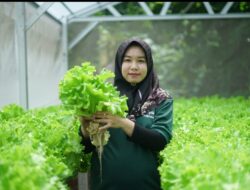 Sharp Hydro Heroes Sukses Ciptakan Petani Muda Berkelanjutan