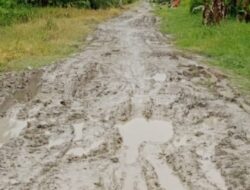 Jalan Kecamatan Nibung Hangus Bak Kubangan Kerbau, Masyarakat Berharap Kepada Bupati Batubara Terpilih