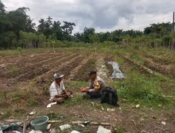 Polsek Stabat Dukung Petani Lokal