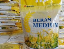 KPPU Temukan Kelangkaan Beras Medium Di Luar Medan