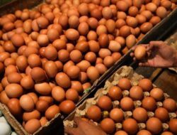 Waspada, Penipuan Jual Telur Murah Catut Nama Charoen Pokphand
