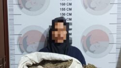 Diduga Jual Ganja, Seorang Nenek Ditangkap Polisi