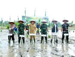 TNI Dan Pemkab Sergai Bersinergi Tingkatkan Produksi Padi Varietas Unggul