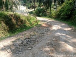 Penggunaan Dana Desa Di Desa Perkebunan Padang Pulau Asahan Diduga Salah Sasaran