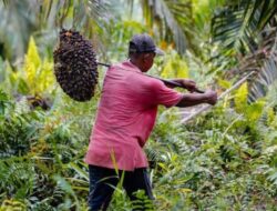 SERAYA Dorong Penyaluran Kredit Produktif