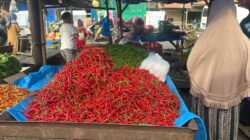 Harga Cabai Merah Anjlok, Sumut Berpeluang Deflasi