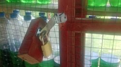 Oknum Ketua Kelompok BTPN Syariah Arogan,  Ambil Paksa Barang Dagangan Nasabah