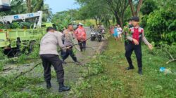 Kasat Samapta Polres Batubara Turun Tangan Bersihkan Pohon Tumbang