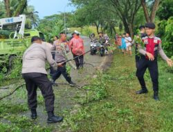 Kasat Samapta Polres Batubara Turun Tangan Bersihkan Pohon Tumbang