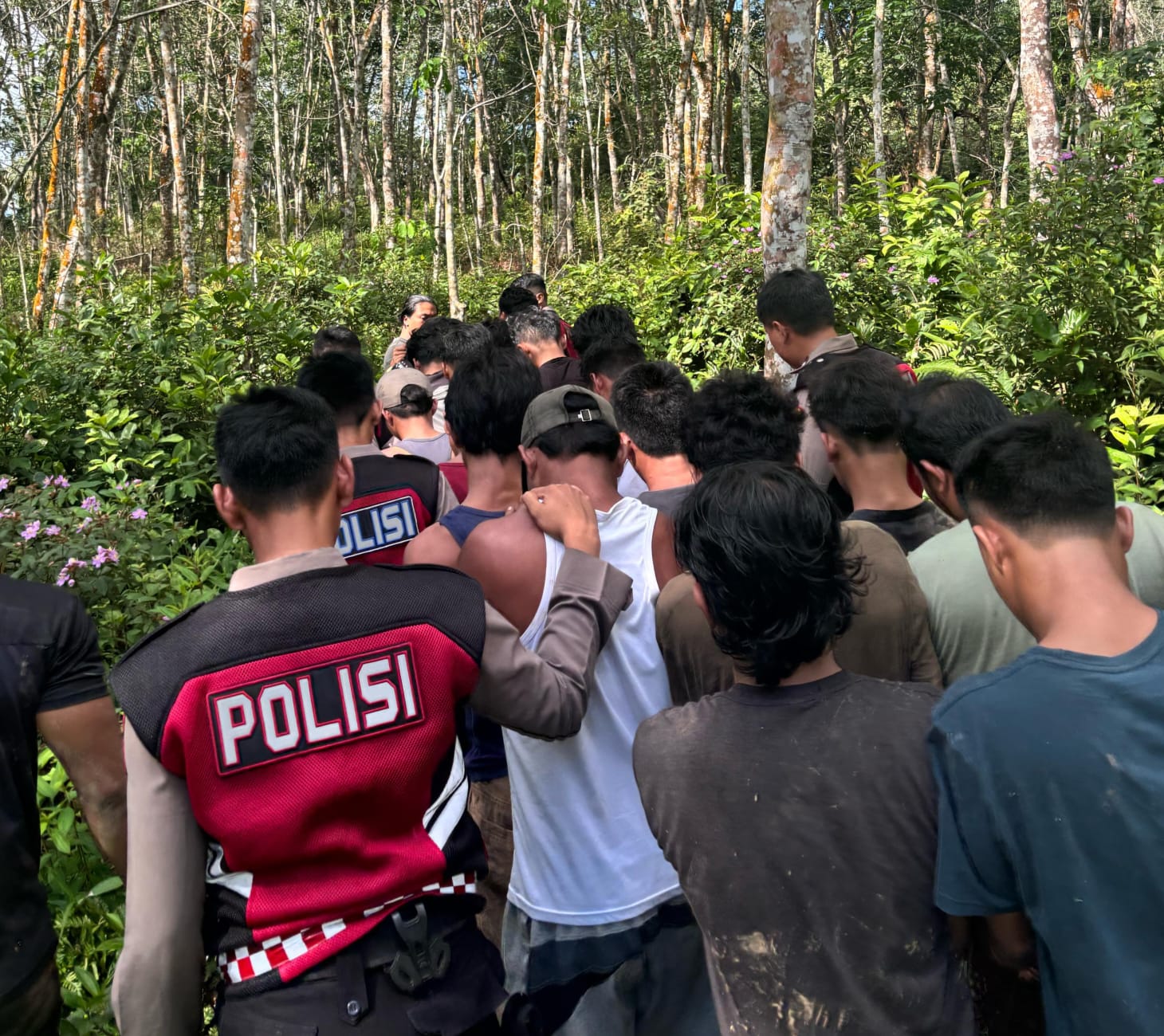 20 orang dari 23 orang tersangka penyalahgunaan narkoba digrebek di sebuah rumah kosong di lokasi perkebunan di Sosa seminggu yang lalu, akhirnya diserahkan ke BNN Tapsel untuk direhab.(Berita Sore/Ist)