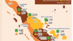 Pertumbuhan Ekonomi Triwulan I 2025, Sumut Posisi Kelima Di Pulau Sumatera