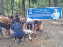 Ketua Komisi VII DPR-RI Salurkan 10 Ekor Hewan Qurban Di Sumut