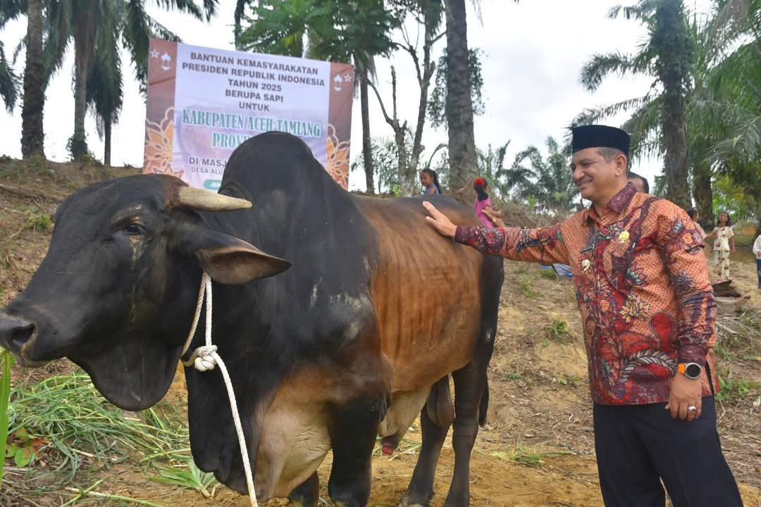 Teks foto : Bupati Aceh Tamiang, Irjen Pol. (P) Drs. Armia Pahmi, MH, secara simbolis menyerahkan sapi qurban dari Presiden Republik Indonesia, Prabowo Subianto kepada masyarakat Kampung Alue Lhok, Kecamatan Karang Baru, Kamis (5/6/2025).