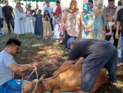 Dinas Perhubungan Kota Medan Sembelih 9 Hewan Kurban