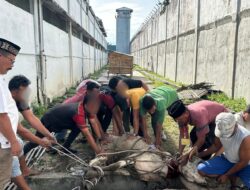 Lapas Labuhan Ruku Sembelih 2 Lembu,6 Kambing Idul Adha 1446 H