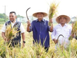 Bukti Nyata Pupuk Organik Mendongkrak Hasil Panen Para Petani
