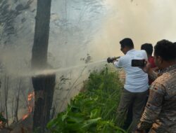 Sekitar 100 Hektare Lahan Di Perbukitan Danau Toba Hangus Terbakar
