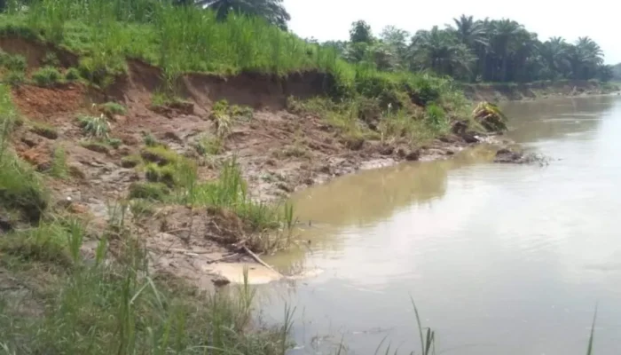 Tanggul Sungai Wampu yang memprihatinkan. (ist)