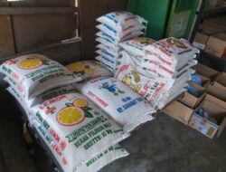 Harga Beras Kian Meroket Di Langkat